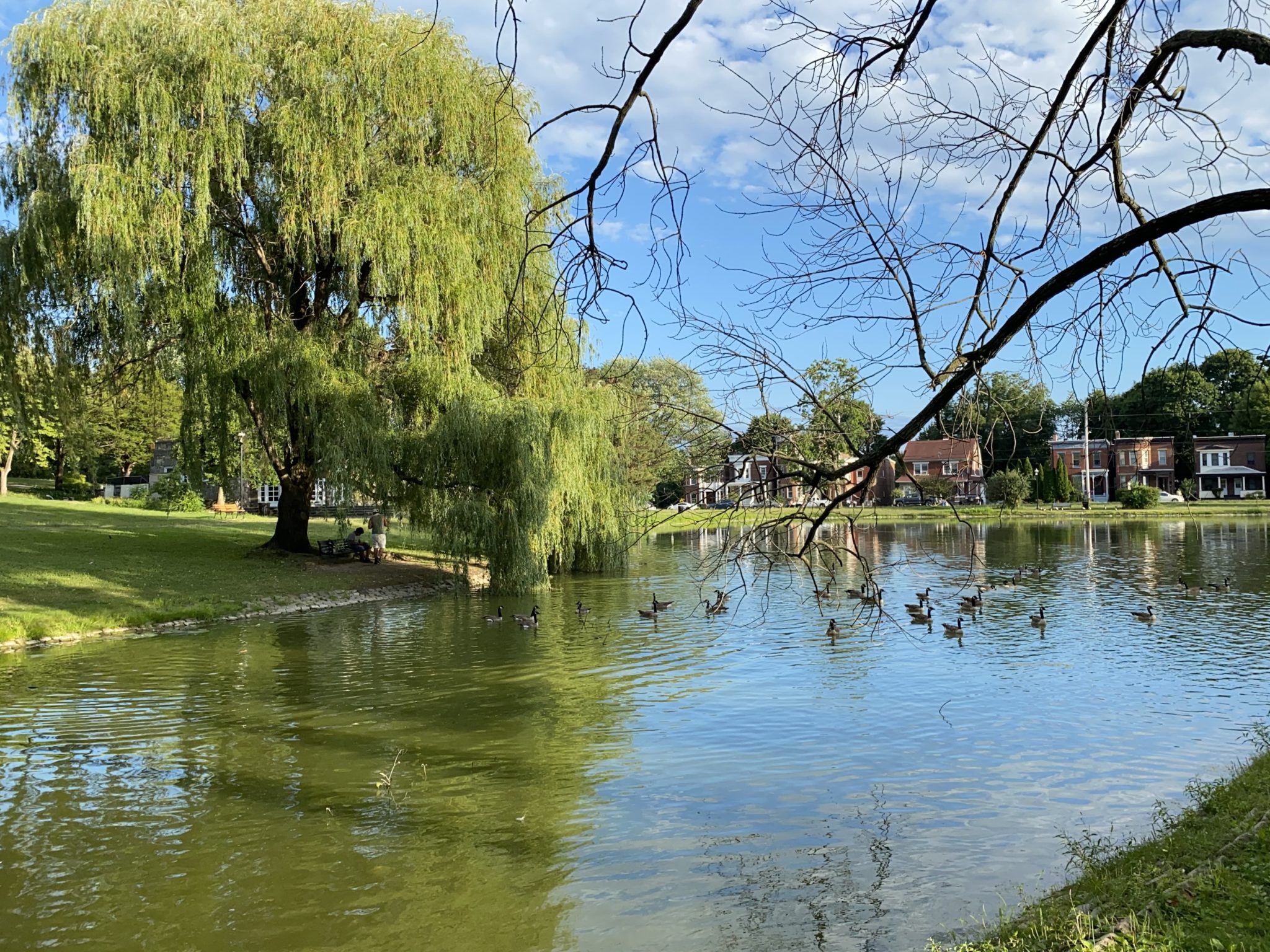 The Polly at Downing Park in Newburgh New York