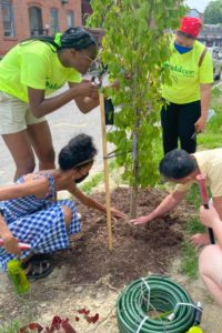 Environmental Justice Fellows Tree Equity 2021