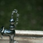 New York Approves Record Funding to Protect Our Water, Parks, and Communities